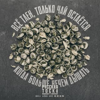 Серая тоска · 茉莉龙珠