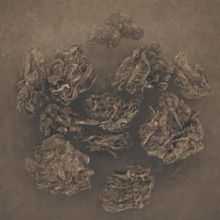 Пыль и горизонт · 老茶头